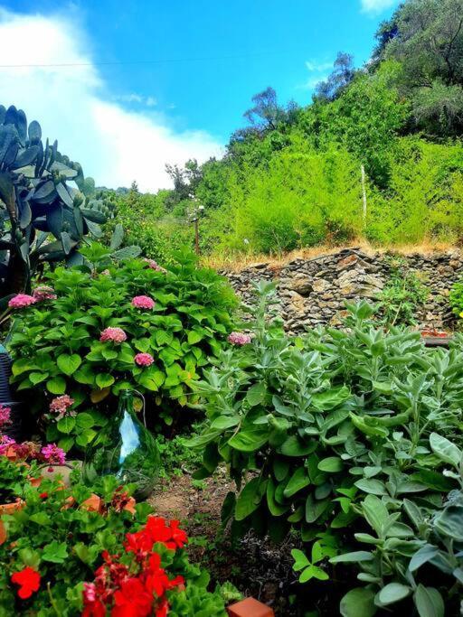Il Limoneto Dei Cinque Sensi,Apartment With Garden Vernazza Exterior photo