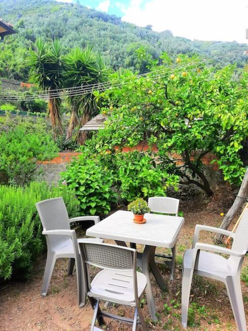 Il Limoneto Dei Cinque Sensi,Apartment With Garden Vernazza Exterior photo